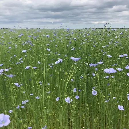 Maison De Bord De ליון-סור-מר